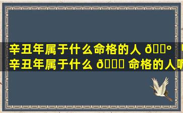 辛丑年属于什么命格的人 🐺 「辛丑年属于什么 🍀 命格的人呢」